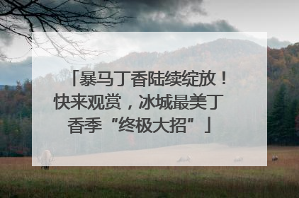 暴马丁香陆续绽放！快来观赏，冰城最美丁香季“终极大招”
