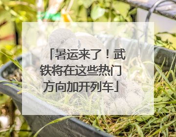 暑运来了！武铁将在这些热门方向加开列车