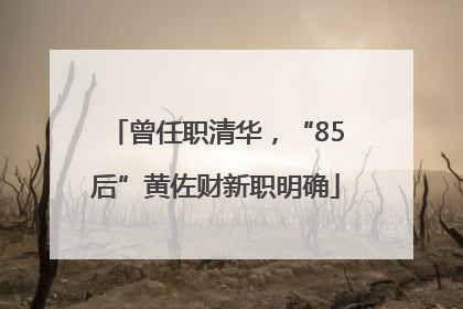 曾任职清华，“85后”黄佐财新职明确