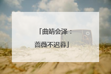 曲靖会泽：蔷薇不迟暮