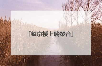 望京楼上聆琴音