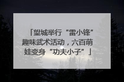 望城举行“雷小锋”趣味武术活动，六百萌娃变身“功夫小子”