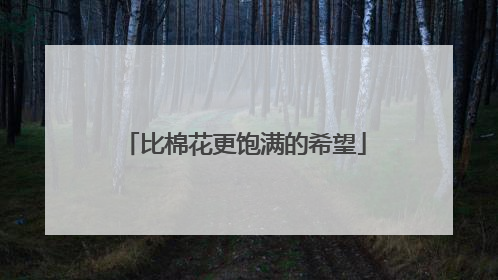比棉花更饱满的希望