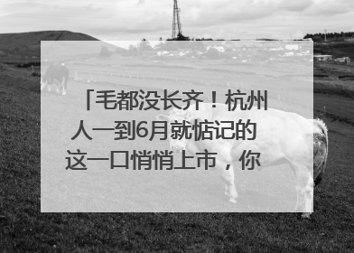 毛都没长齐！杭州人一到6月就惦记的这一口悄悄上市，你打算尝鲜吗？