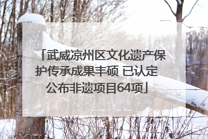武威凉州区文化遗产保护传承成果丰硕 已认定公布非遗项目64项