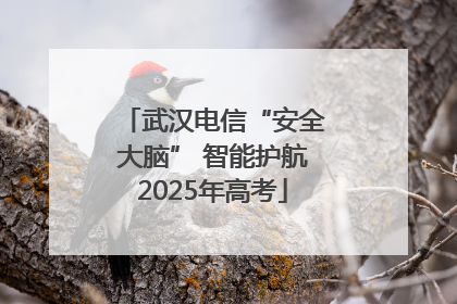 武汉电信“安全大脑” 智能护航2025年高考