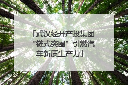 武汉经开产投集团“链式突围”引燃汽车新质生产力
