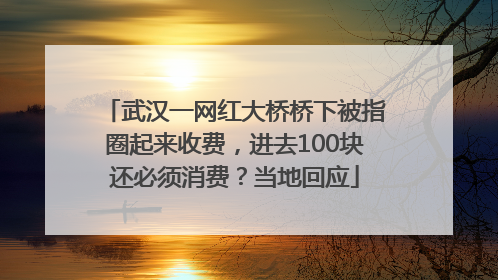 武汉一网红大桥桥下被指圈起来收费，进去100块还必须消费？当地回应