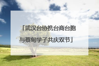 武汉台协携台商台胞与蔡甸学子共庆双节