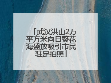 武汉洪山2万平方米向日葵花海盛放吸引市民驻足拍照
