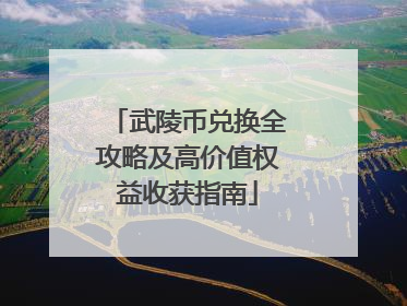 武陵币兑换全攻略及高价值权益收获指南