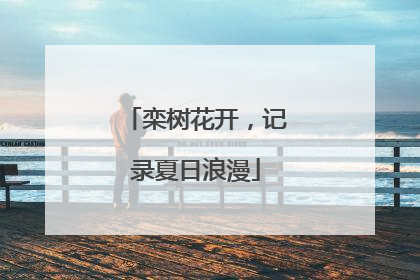 栾树花开，记录夏日浪漫