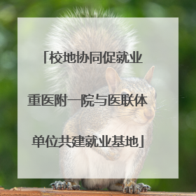 校地协同促就业 重医附一院与医联体单位共建就业基地