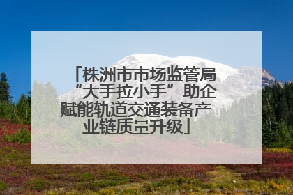 株洲市市场监管局“大手拉小手”助企赋能轨道交通装备产业链质量升级