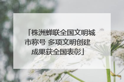 株洲蝉联全国文明城市称号 多项文明创建成果获全国表彰