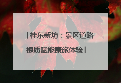 桂东新坊：景区道路提质赋能康旅体验