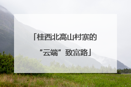 桂西北高山村寨的“云端”致富路