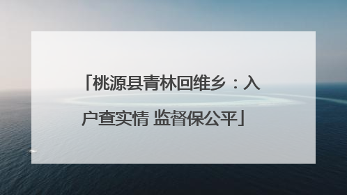 桃源县青林回维乡：入户查实情 监督保公平