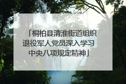 桐柏县清淮街道组织退役军人党员深入学习中央八项规定精神