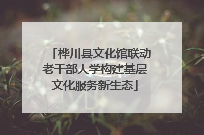 桦川县文化馆联动老干部大学构建基层文化服务新生态