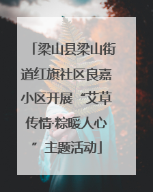 梁山县梁山街道红旗社区良嘉小区开展“艾草传情·粽暖人心”主题活动