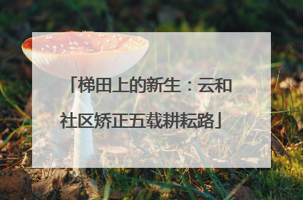 梯田上的新生：云和社区矫正五载耕耘路