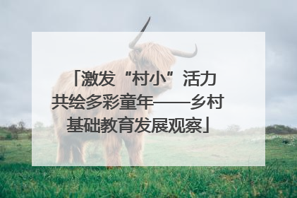 激发“村小”活力 共绘多彩童年——乡村基础教育发展观察