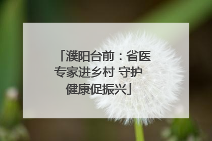 濮阳台前：省医专家进乡村 守护健康促振兴