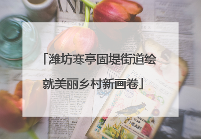 潍坊寒亭固堤街道绘就美丽乡村新画卷