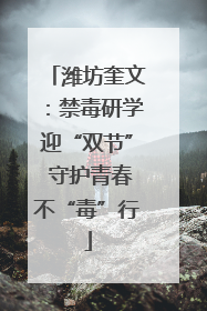 潍坊奎文：禁毒研学迎“双节” 守护青春不“毒”行