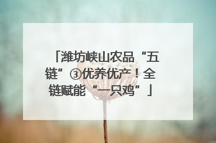 潍坊峡山农品“五链”③优养优产！全链赋能“一只鸡”