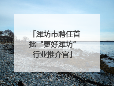 潍坊市聘任首批“更好潍坊”行业推介官