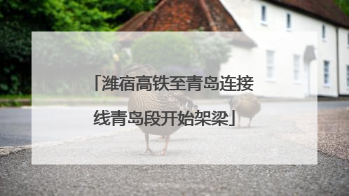 潍宿高铁至青岛连接线青岛段开始架梁