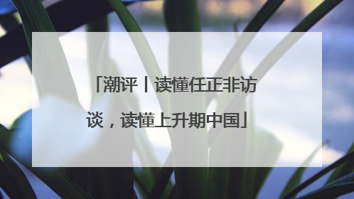 潮评丨读懂任正非访谈，读懂上升期中国