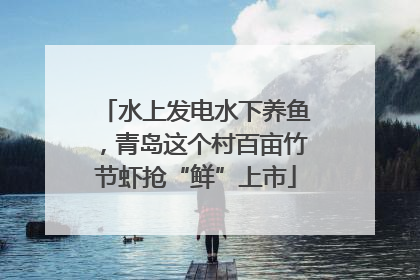 水上发电水下养鱼，青岛这个村百亩竹节虾抢“鲜”上市