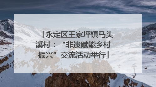 永定区王家坪镇马头溪村：“非遗赋能乡村振兴”交流活动举行