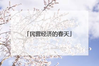 民营经济的春天