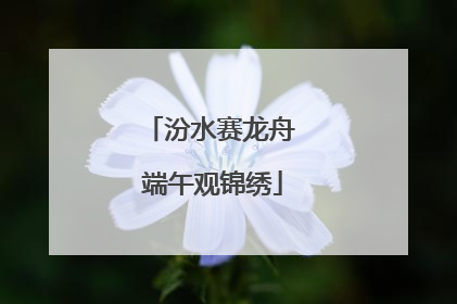 汾水赛龙舟 端午观锦绣