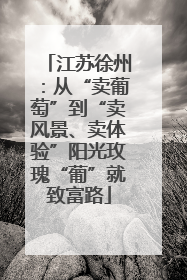 江苏徐州：从“卖葡萄”到“卖风景、卖体验”阳光玫瑰“葡”就致富路