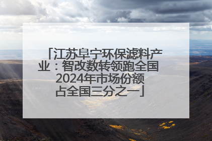 江苏阜宁环保滤料产业：智改数转领跑全国 2024年市场份额占全国三分之一