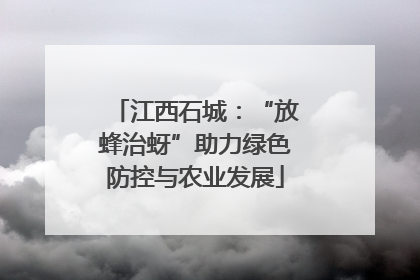 江西石城：“放蜂治蚜”助力绿色防控与农业发展