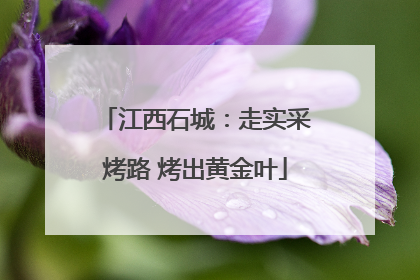 江西石城：走实采烤路 烤出黄金叶
