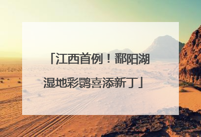 江西首例！鄱阳湖湿地彩鹮喜添新丁