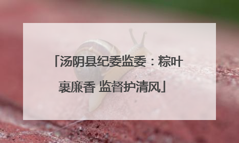 汤阴县纪委监委：粽叶裹廉香 监督护清风