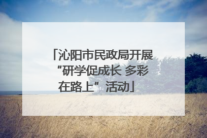 沁阳市民政局开展“研学促成长 多彩在路上”活动