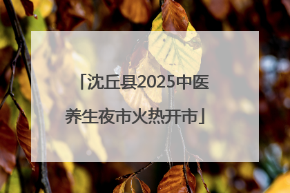 沈丘县2025中医养生夜市火热开市