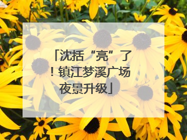 沈括“亮”了！镇江梦溪广场夜景升级