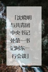 沈晓明与共青团中央书记处第一书记阿东一行会谈
