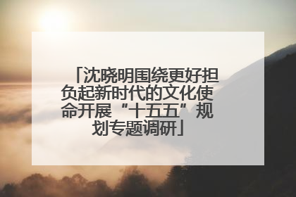 沈晓明围绕更好担负起新时代的文化使命开展“十五五”规划专题调研