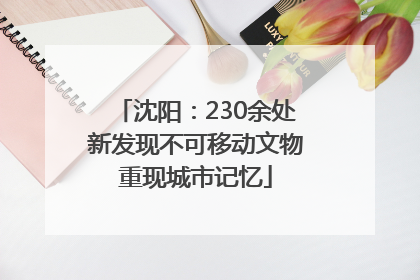 沈阳：230余处新发现不可移动文物重现城市记忆